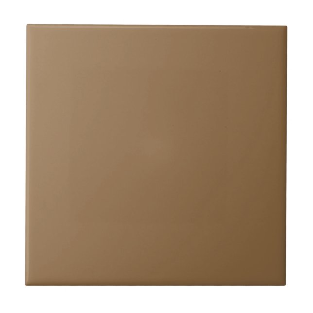Smooth Caramel Brown Square Kitchen and Bathroom Tile (Front)