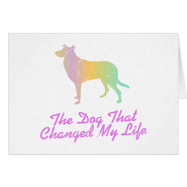 Smooth Collie (Front Horizontal)