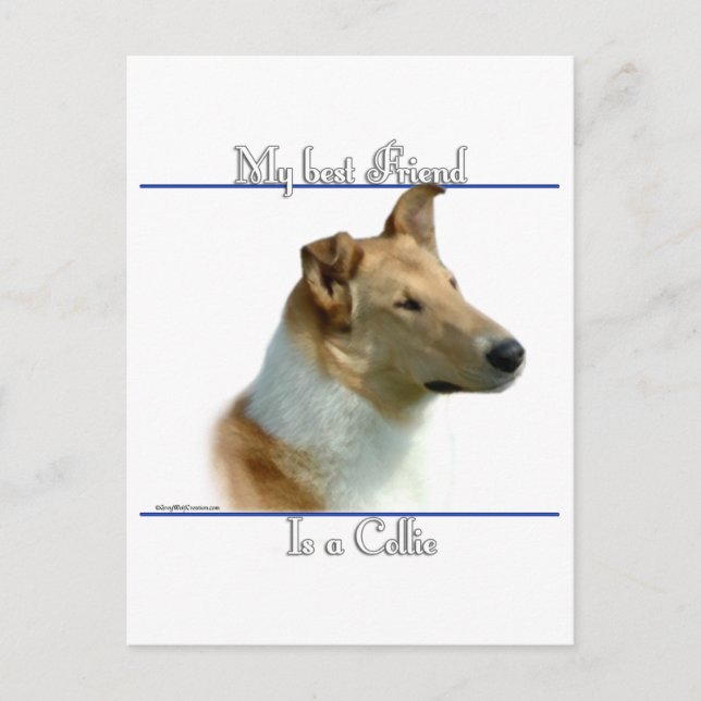 Smooth Collie Best Friend 2 Postcard (Front)
