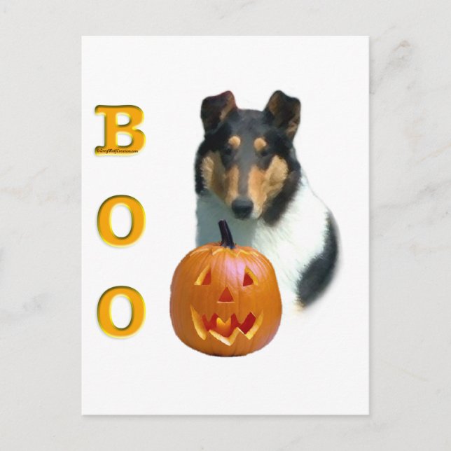 Smooth Collie Boo  Postcard (Front)
