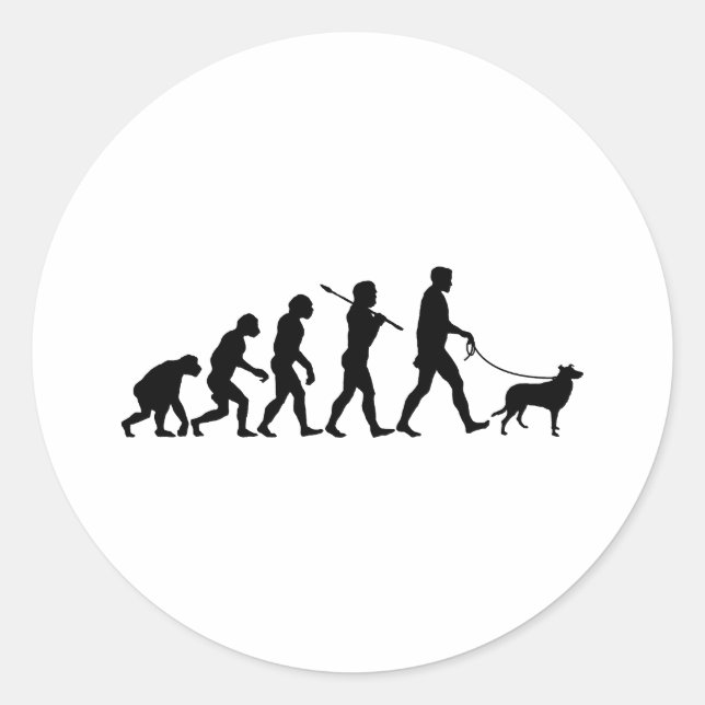 Smooth Collie Classic Round Sticker (Front)