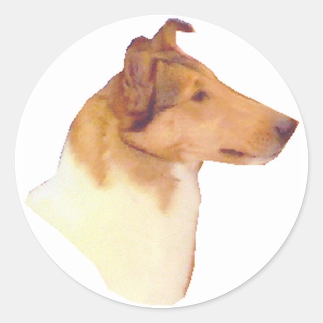 Smooth Collie Gifts Classic Round Sticker (Front)
