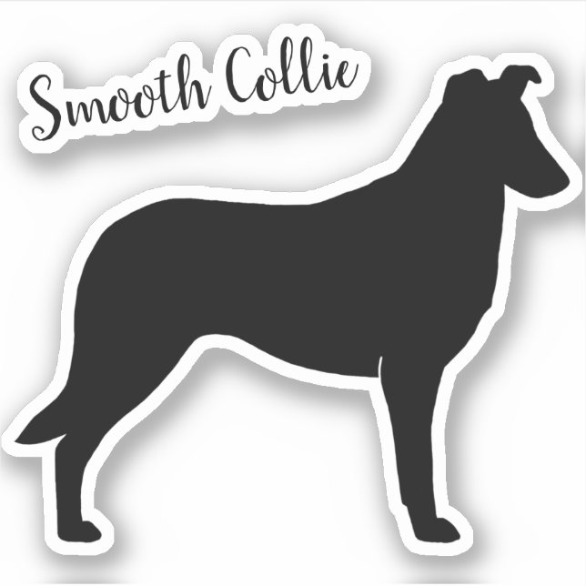 Smooth Collie Silhouette Dog Breed Vinyl Sticker (Front)