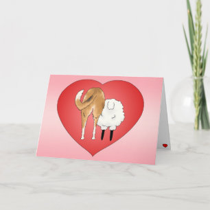Smooth Collie Valentine's Day Holiday Card