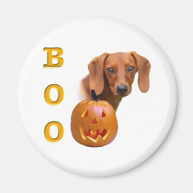 Smooth Dachshund Boo - Magnet (Front)