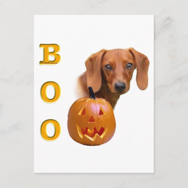 Smooth Dachshund Boo Postcard (Front)