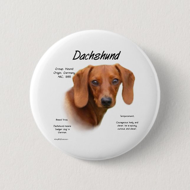 Smooth Dachshund Meet the Breed - Button (Front)