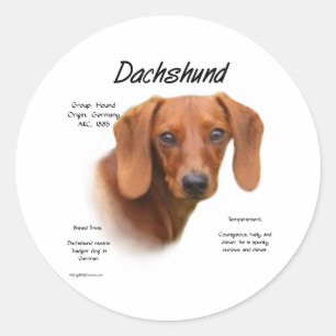 Smooth Dachshund Meet the Breed - Customised Classic Round Sticker