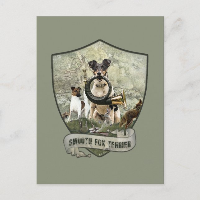 Smooth Fox Terrier     Postcard (Front)