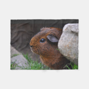Smooth, Gold Agouti Guinea Pig in Grass and Rocks Fleece Blanket