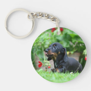 Smooth-haired Miniature Dachshund 1 Key Ring