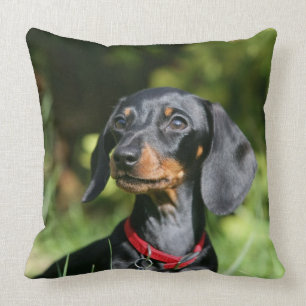 Smooth-haired Miniature Dachshund 3 Cushion