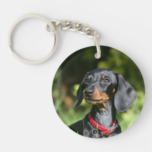 Smooth-haired Miniature Dachshund 3 Key Ring