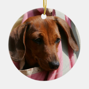 Smooth-haired Miniature Dachshund Puppy Ceramic Tree Decoration