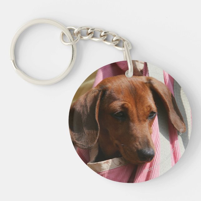 Smooth-haired Miniature Dachshund Puppy Key Ring (Front)