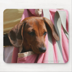 Smooth-haired Miniature Dachshund Puppy Mouse Mat