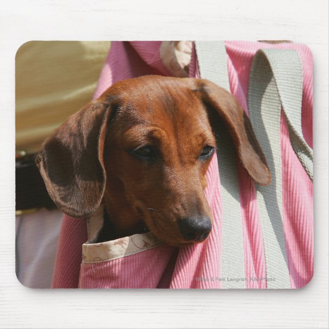 Smooth-haired Miniature Dachshund Puppy Mouse Mat (Front)