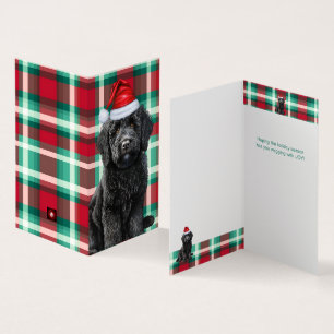 Smooth Labradoodle Holiday Plaid Christmas Card