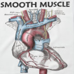 Smooth Muscle Inside (Grey's Anatomy Heart) Tea Towel<br><div class="desc">The human heart has smooth muscle. Showcase your wry anatomical and medical sense of humour with any of these gifts featuring a heart drawing as found in the medical textbook Grey's Anatomy, along with the biological truism saying "Smooth Muscle Inside". Make others do a double-take at the heart as a...</div>