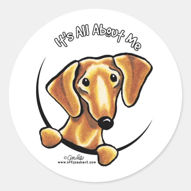 Smooth Red Dachshund Its All About Me Classic Round Sticker (Front)