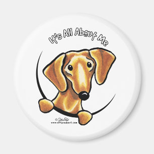 Smooth Red Dachshund Its All About Me Magnet