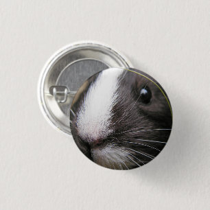 Smooth, Short Hair, Black and White Guinea Pig 3 Cm Round Badge