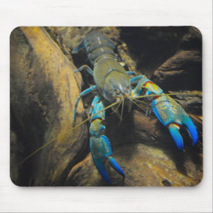 Smooth Yabby Mouse Mat
