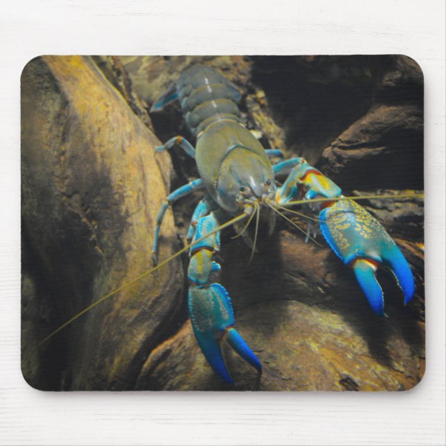 Smooth Yabby Mouse Mat (Front)