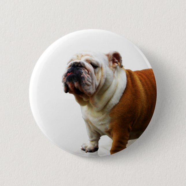 Smug Bulldog Pin (Front)