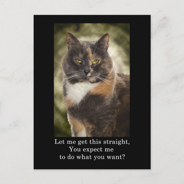 Smug Kitty - Do What You Want? Postcard (Front)