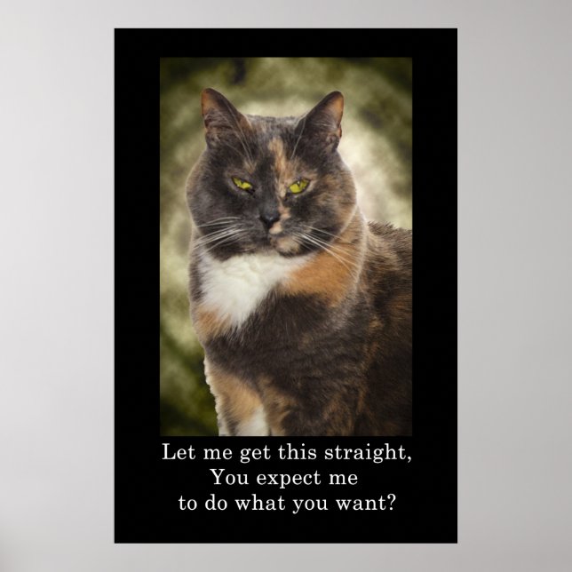 Smug Kitty - Do What You Want? Poster (Front)