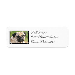 Smug Pug Mailing Labels