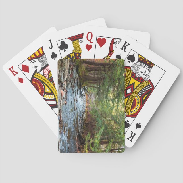 Smugglers' Notch State Park, Vermont Playing Cards (Back)