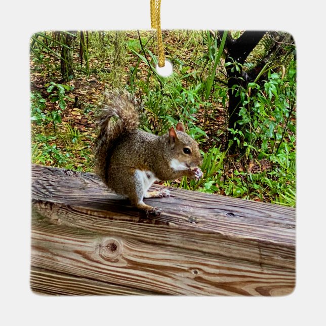 Snack Attack Ceramic Ornament (Front)