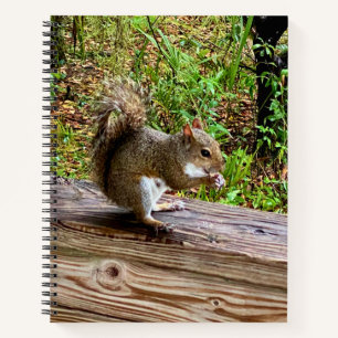 Snack Attack Notebook