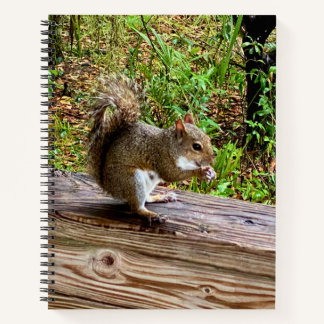 Snack Attack Notebook
