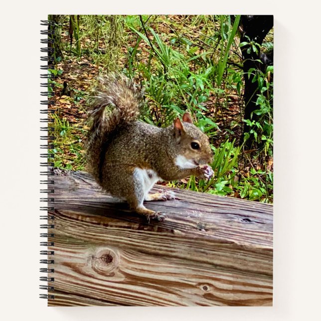Snack Attack Notebook (Front)