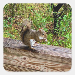 Snack Attack Square Sticker