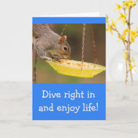 Snacking Squirrel Birthday