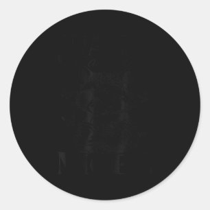 Snacks Make Me Nicer Raccoon Animal Sarcastic Sayi Classic Round Sticker