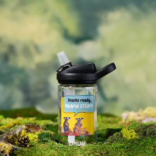 Snacks Ready, Drama Steady Water Bottle