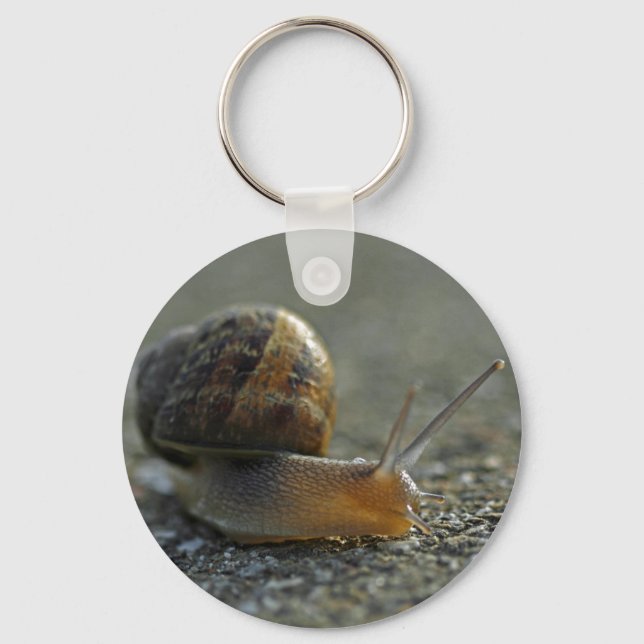 Snail 1 Keychain (Front)