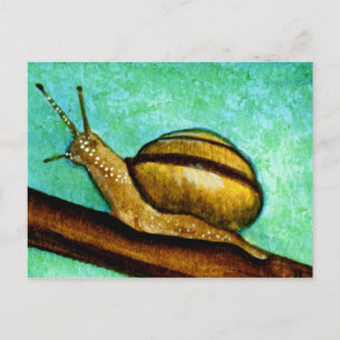 Snail 1 Postcard