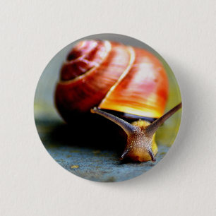 Snail 6 Cm Round Badge