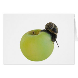 Snail and apple
