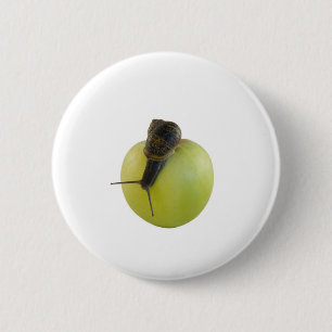 Snail and apple 6 cm round badge