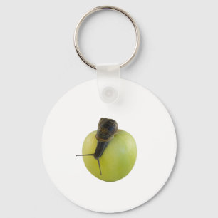 Snail and apple key ring