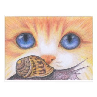 Snail and Cat Postcard