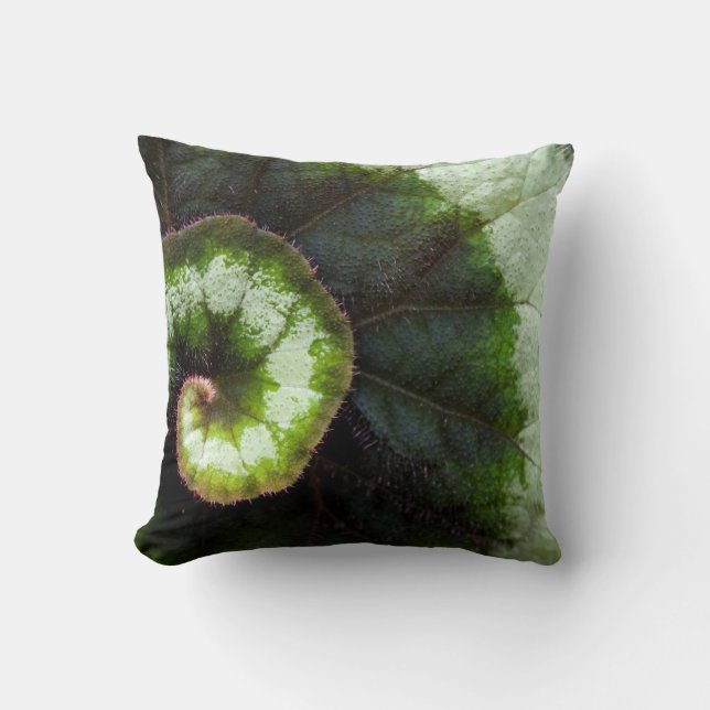 Snail Begonia Leaf Cushion (Front)