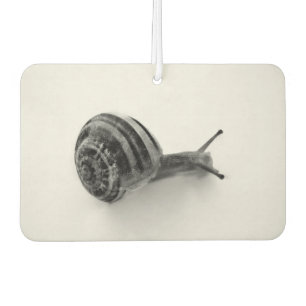 Snail Car Air Freshener